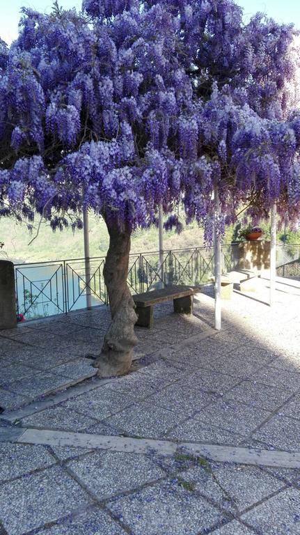 La Casa Di Milady Genzano di Roma Exterior foto